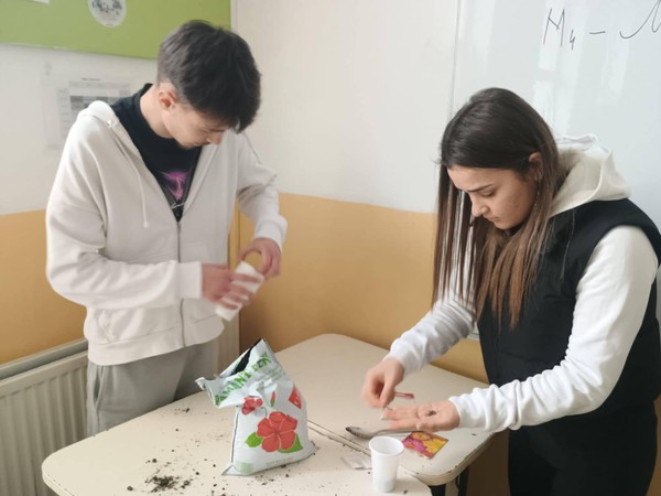 Obținerea și îngrijirea plantelor